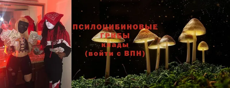 Галлюциногенные грибы MAGIC MUSHROOMS  Навашино 